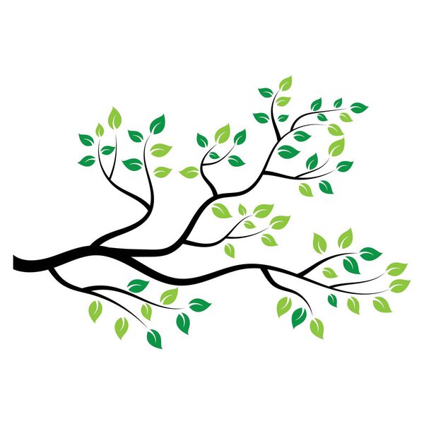 tree branch vector ilustration design template