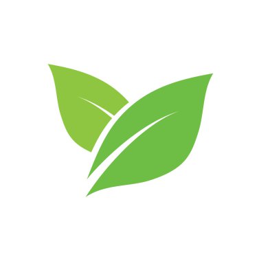  Yaprak logosu yeşil ekoloji doğa element vektörü