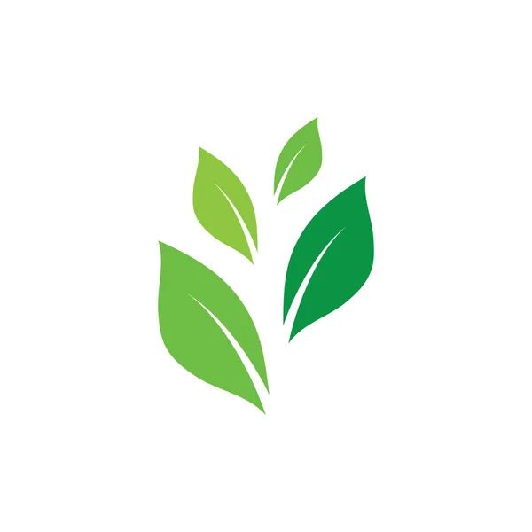 Hoja Logo Verde Ecología Naturaleza Elemento Vector — Vector de stock
