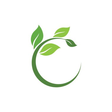 Yaprak Yeşil Doğa Ekoloji Element Vektörü