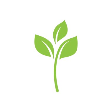 Yaprak Yeşil Doğa Ekoloji Element Vektörü