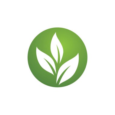 Yaprak Yeşil Doğa Ekoloji Element Vektörü