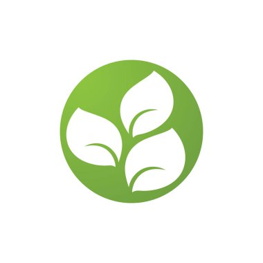 Yaprak Yeşil Doğa Ekoloji Element Vektörü