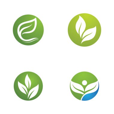 Yaprak Yeşil Doğa Ekoloji Element Vektörü