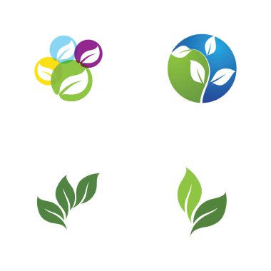 Yaprak Yeşil Doğa Ekoloji Element Vektörü