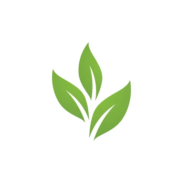 Folha Verde Natureza Ecologia Elemento Vector — Vetor de Stock