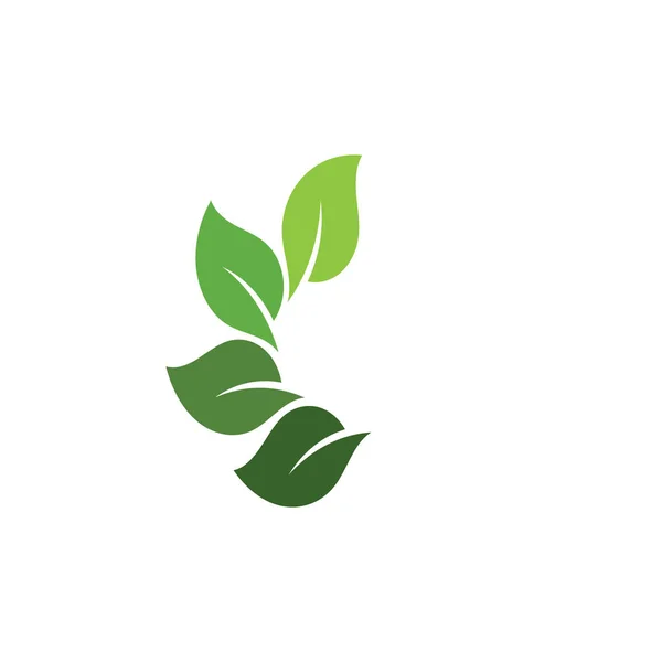 Feuille Vert Nature Écologie Élément Vecteur — Image vectorielle