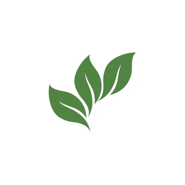 Levél Zöld Természet Ökológia Elem Vektor — Stock Vector