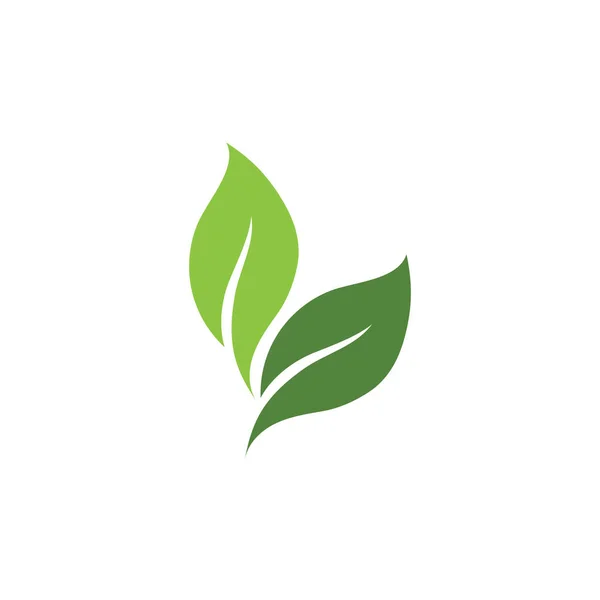 Hoja Verde Naturaleza Ecología Elemento Vector — Vector de stock