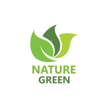 Yeşil yaprak doğa logo ekoloji vektörü