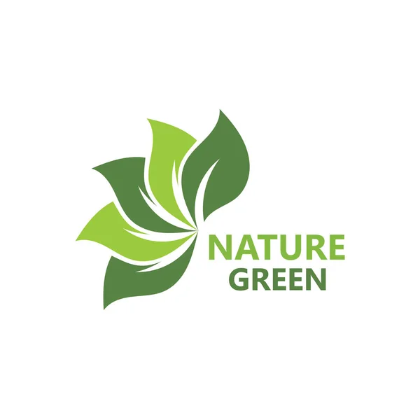 Grünes Blatt Natur Logo Ökologie Vektor — Stockvektor