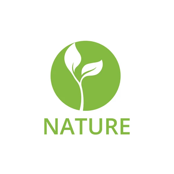 Yeşil Yaprak Doğa Logo Ekoloji Vektörü — Stok Vektör