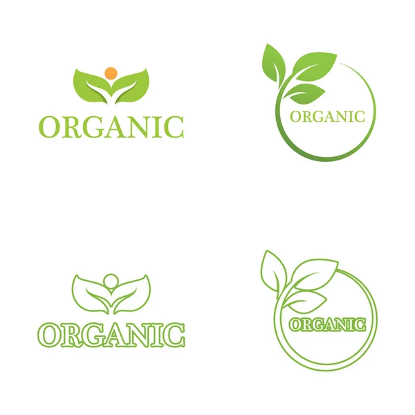 Green Leaf Nature Logo Ecology Vector — Stock Vector