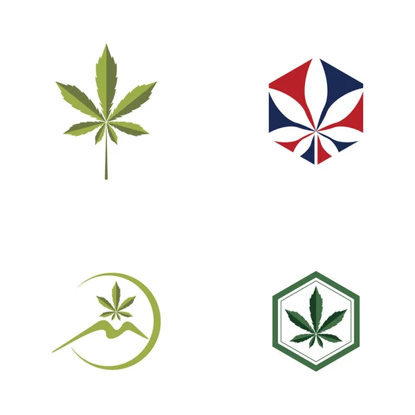 Cannabis Blatt Gesundheit Natur Logo Vektor — Stockvektor