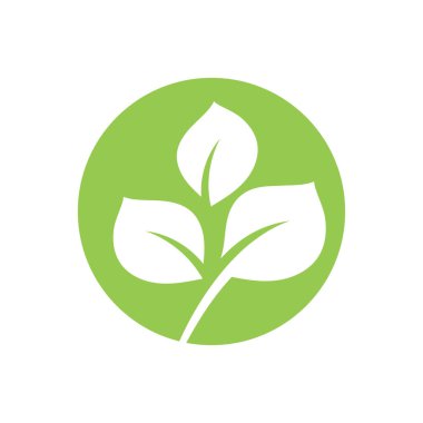 Yeşil ağaç yaprağı ekoloji doğa elementi vektörü logoları