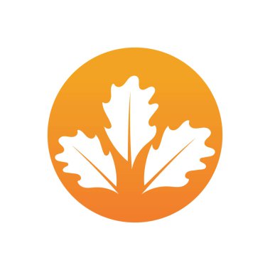 Autumn Leaf logo şablon vektör çizimi