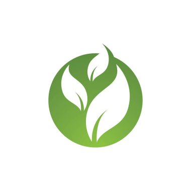 Yaprak yaprakları yeşil vektör 