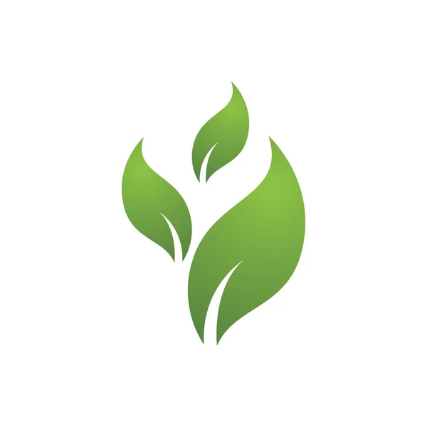 Logo Uri Verde Ecologie Frunze Copac Element Natural Vector — Vector de stoc