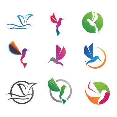 Humingbird logosu ve sembol vektör resmi