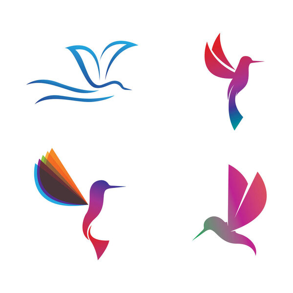 Humingbird logo and symbol vector image