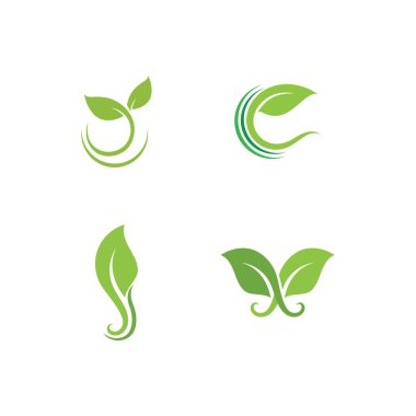 Yaprak yeşili logo taze vektör şablonu
