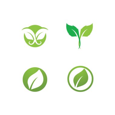 Yaprak yeşili logo taze vektör şablonu
