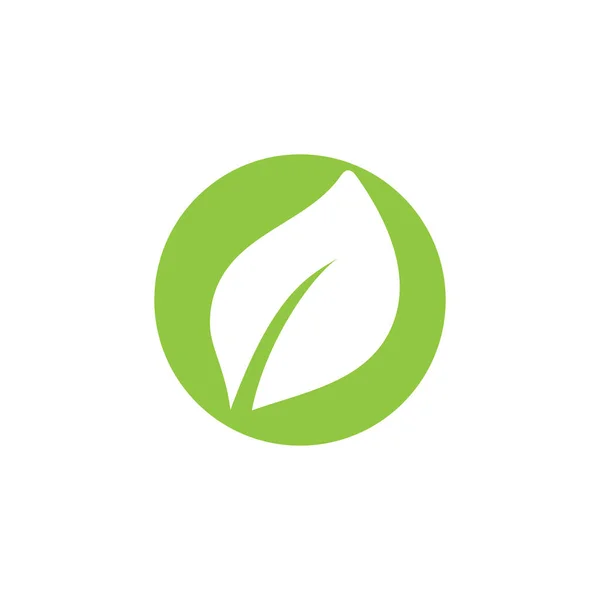 Folha Verde Planta Logotipo Modelo Vetor Fresco — Vetor de Stock
