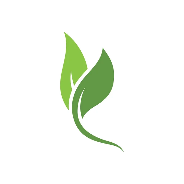 Листя Зеленого Рослини Логотип Свіжий Векторний Шаблон — стоковий вектор