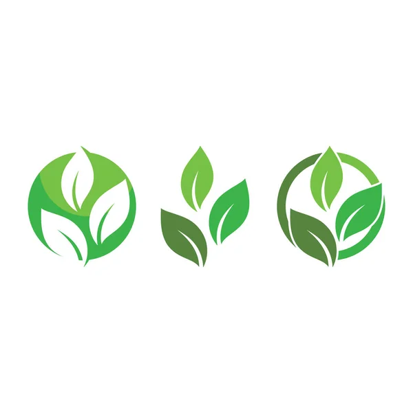 Folha Verde Logotipo Ecologia Elemento Vector Natureza — Vetor de Stock