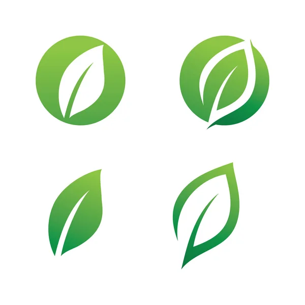 Blad Grön Logotyp Ekologi Natur Element Vektor — Stock vektor