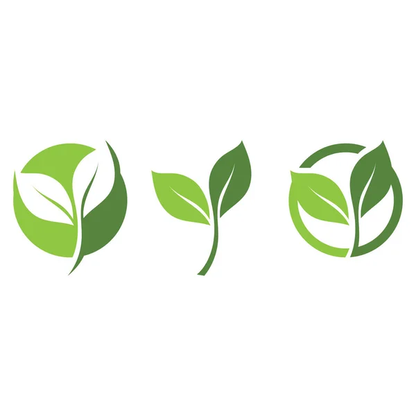 Hoja Verde Logo Ecología Naturaleza Elemento Vector — Archivo Imágenes Vectoriales