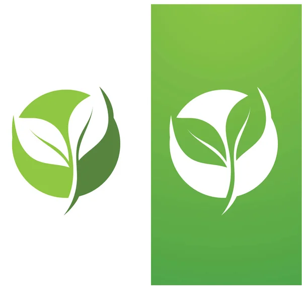 Foglia Verde Logo Ecologia Elemento Natura Vettore — Vettoriale Stock