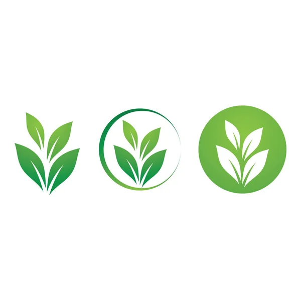 Blad Grön Logotyp Ekologi Natur Element Vektor — Stock vektor