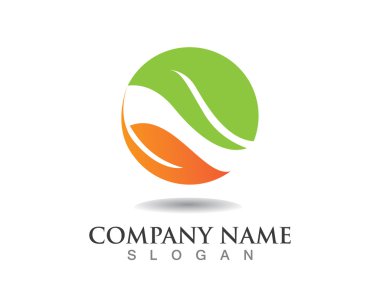 eko yeşil yaprakları