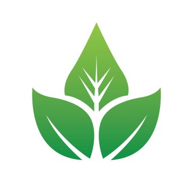 Temiz eko yaprak logosu tasarımı