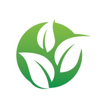 Tarz eko yaprak simgesi tasarımı