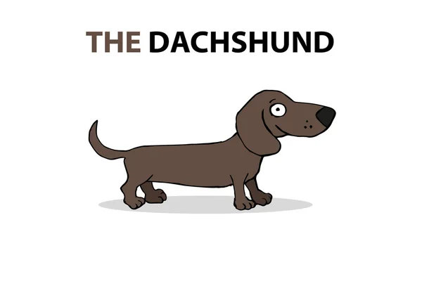 Cão dos desenhos animados, feliz dachshund — Vetor de Stock