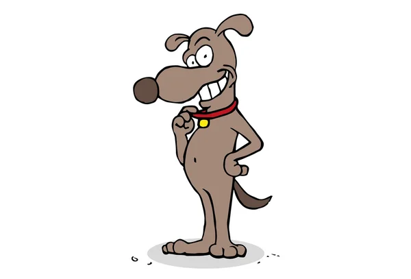 Dog Smiling and Holding Collar