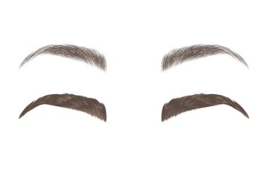 Vector eyebrows, realistic and cartoon style