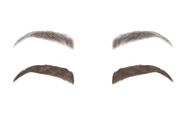 Vector eyebrows, realistic and cartoon style clipart