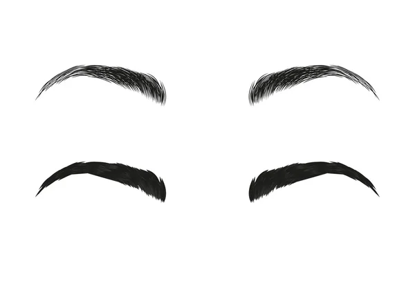 Vector eyebrows, realistic and cartoon style — 스톡 벡터