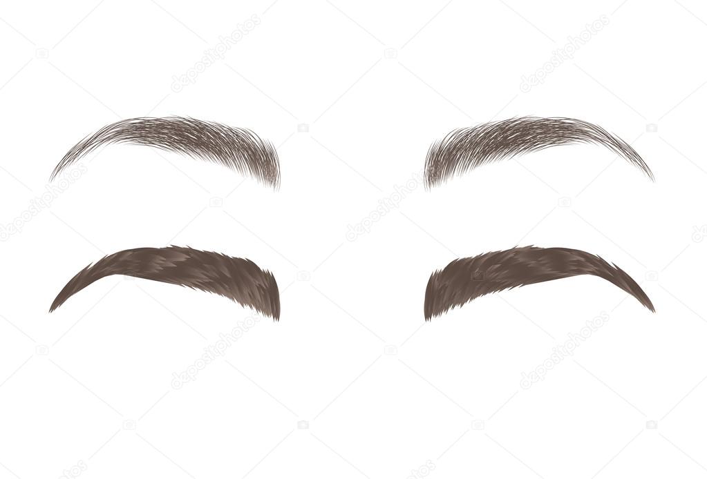 Vector eyebrows, realistic and cartoon style ⬇ Vector Image by © gojak