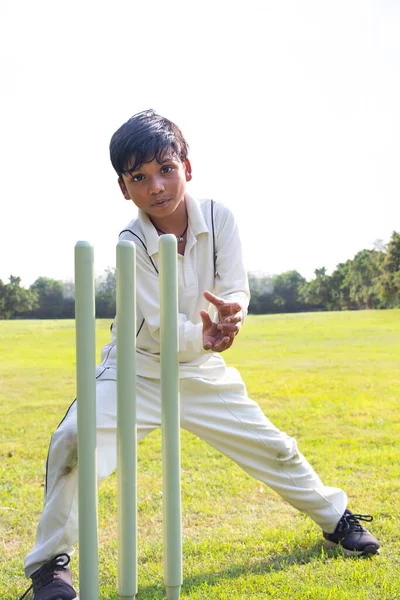 Chico Filding Grounda Durante Juego Cricket — Foto de Stock