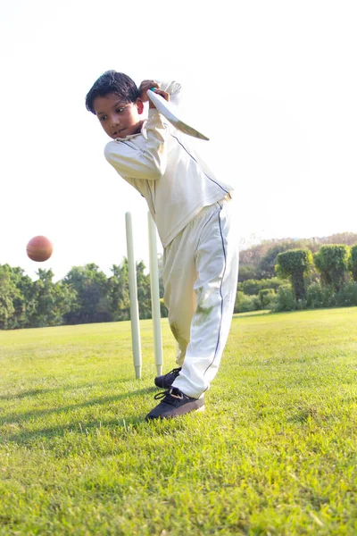 Genç bir çocuk kriket oynarken koruyucu kıyafetiyle vuruyor.