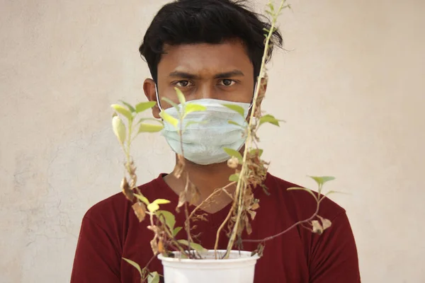 Hava kirliliğinden koruyucu maskeli genç Hintli çocuk dışarıda duran Kutsal Fesleğen bitkisini tutuyor.