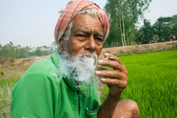 Köylü çiftçi pirinç tarlasında oturup sigara içiyor.
