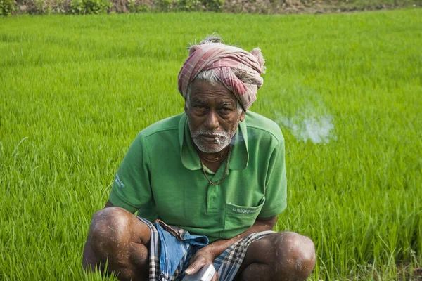 Köylü çiftçi pirinç tarlasında oturup sigara içiyor.