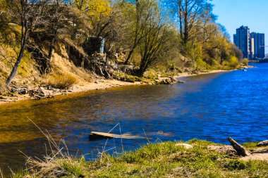 St. Petersburg 'un banliyölerinde ilkbaharda doğa