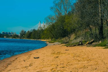 St. Petersburg 'un banliyölerinde ilkbaharda doğa