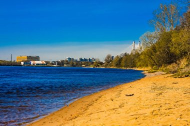 St. Petersburg 'un banliyölerinde ilkbaharda doğa